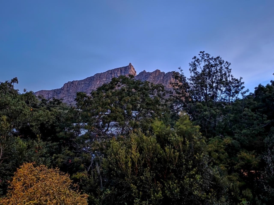 4 Bedroom Property for Sale in Higgovale Western Cape